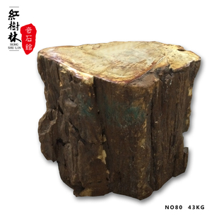 红树林奇石馆 木化石家居摆设