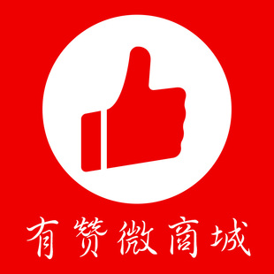有赞微商城装修设计 微信店铺装修 微店设计推广营销 托管代运营 新品