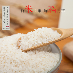 2015江苏农家有机宝宝大米胚芽米南粳46新米粳米5kg真空包装包邮 新品