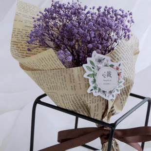 永生花束满天星紫色小花束报纸包花彩色满天星 新品上架 ￥ 26.3 ￥27