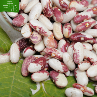 东北特产杂粮杂豆通榆农家美人豆相思豆 350g 新品上架