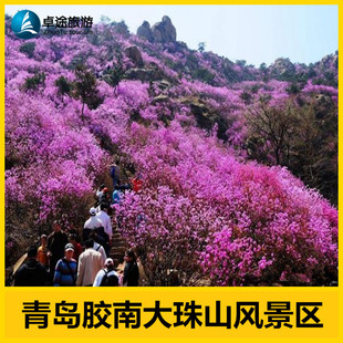大珠山旅游门票|青岛黄岛胶南大珠山风景区|电子票|方便快捷 新品上架