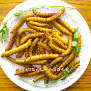 油炸豆虫  新鲜野生  豆虫,豆丹,营养美味养生美容 新品上架