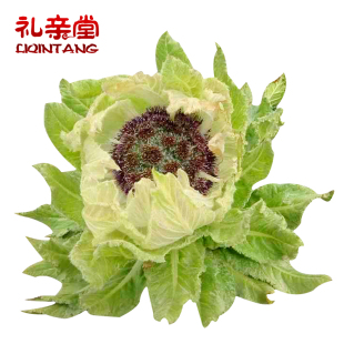 礼亲堂 天山雪莲 新疆雪莲花 3朵包邮 新品上架 $ 39.0 $72