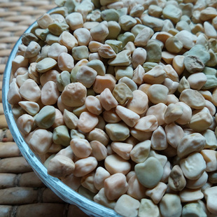 芽苗菜种子松柳种子松柳芽苗菜 松柳苗2015松柳500克芽菜种子 新品