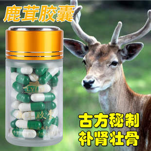 鹿茸胶囊正品 肾宝生精补髓 中药补肾虚强筋壮骨 小瓶包邮 新品上架