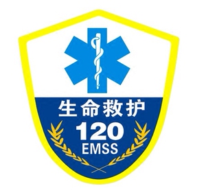 汽车贴纸 白红双色反光 医院120急救车标志红十字会标救护车标