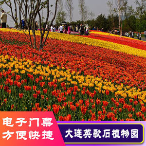 大连