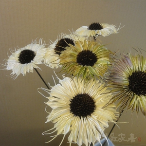 【万道光芒】太阳菊手工真花插花干花装饰花艺花束客厅 消夏新品