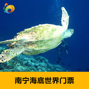[南宁海底世界-大门票]广西南宁海底世界门票海洋馆门票