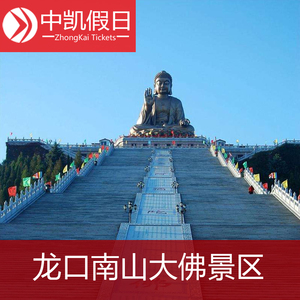 龙口南山大佛门票