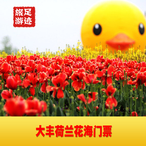 荷兰花海门票