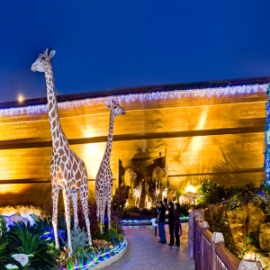 专用)]香港诺亚方舟公园门票成人儿童习旅旅游专营店同款货源1