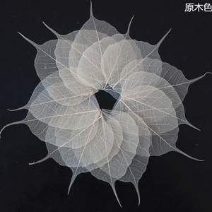 叶脉菩提叶装饰画书签茶滤树叶创意材料创意植物标本禅意中国风