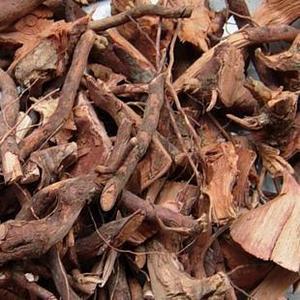 广西野生山稔根 岗稔根 岗念根 岗捻根 桃金娘根 当梨根山捻根