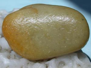 溪蛋田黄石 小田黄 溪蛋黄 福建寿山石 小田黄原石 手把件3