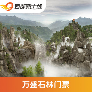 [万盛石林-大门票]重庆 万盛石林 门票