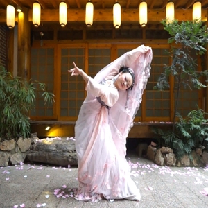 半壶纱古典舞蹈服装落花情唐朝齐胸襦裙改良唯美古装唐装汉服写真