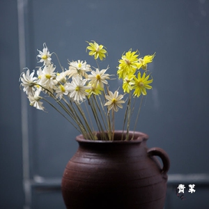 【文心兰】小清新艺术干花室内客厅装饰插花摆件白色小雏菊组合花