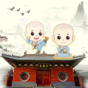 郑州出发少林寺一日游河南旅游嵩山少林寺/龙门石窟 纯玩 三环接