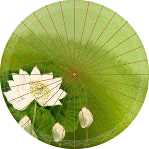 油纸伞荷花