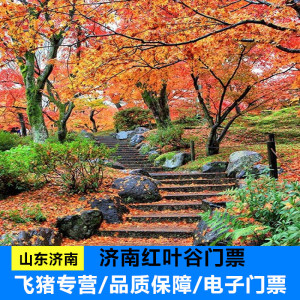 [红叶谷-大门票]济南红叶谷门票成人票特惠票景区
