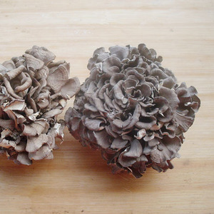 武夷山柴情山珍食用菌特产灰树花500g超值中国舌尖上的美味2