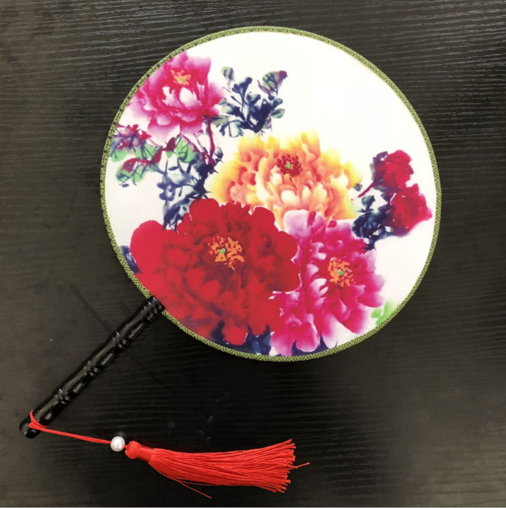 仙人牡丹团扇多肉