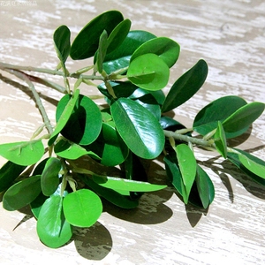 花满庭 仿真榕树叶 假树枝植物室内造型工程装饰 假叶子 绿色树叶