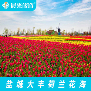 荷兰花海门票