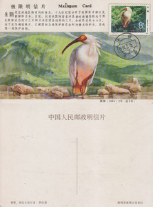 a0703陕西省邮票公司原地朱鹮T94-2极限明信片实物如图