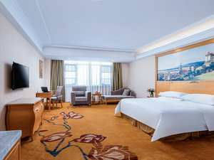 维也纳酒店安庆光彩七街店行政大床房