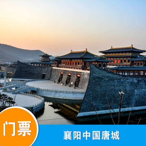 唐城门票