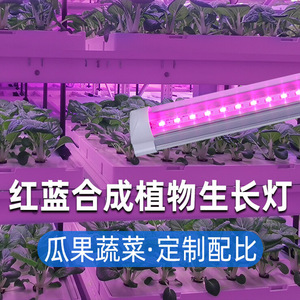 防水植物灯生长灯管全光谱多肉补光灯全光谱量子板光合作用仿阳光