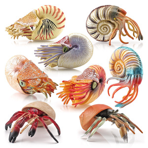 20种鹦鹉螺模型寄居蟹模型仿真海洋动物贝壳儿童认知玩具场景摆件