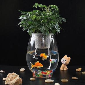 玻璃绿萝水养上面下面养花器皿z养鱼室内鱼缸植物水培花盆花瓶容