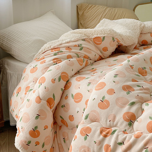 定制羔绒羊毛毯冬午睡冬被子绒季加厚加珊瑚毯子床单沙发毯盖毯床