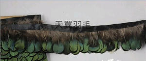 羽毛服装辅料铜鸡绿q片  鸡毛 diy羽毛 羽毛布边 羽毛配件装饰1米