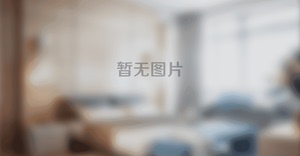南京设计师潘工公寓(户部街分店)阳光一室一厅套房