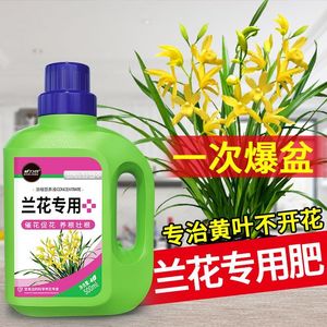 新品根力豆兰花专用营养液500ml浓缩通用型养花肥料室内蝴蝶兰墨