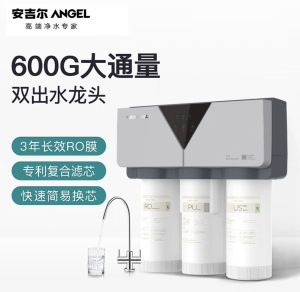 安吉尔（Angel）反渗透双出水无桶600G大通X7S净水器 J2731-ROB90