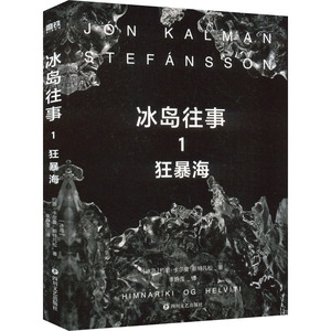 冰岛往事1 狂暴海 约恩·卡尔曼·斯特凡松 鱼没有脚作者 步入世界文坛代表作 冰岛三部曲 关于世界尽头的孤独与爱 新华正版