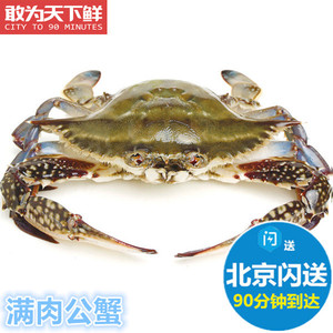 5-8两1只 北京闪送 鲜活 满肉 公梭子蟹 螃蟹 海蟹海鲜水产 飞蟹