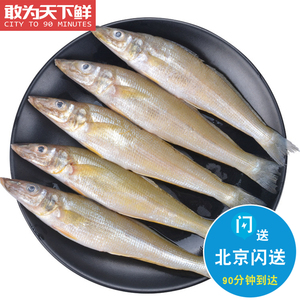 约10条 500g 北京闪送 新鲜沙丁鱼水产 海鲜沙尖鱼 冰鲜非冷冻