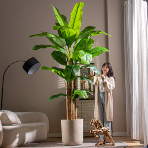 高端芭蕉树仿真绿植室内大型仿生氛围树假树植物盆栽造景装饰摆件