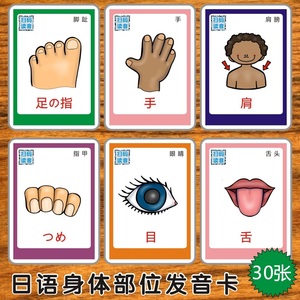 日语身体部位发音单词卡片日文图片闪卡早教学习启蒙幼儿园教具