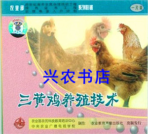 三黄鸡养殖技术视频2光盘书籍散养童子鸡柴鸡饲养病防治管理教程