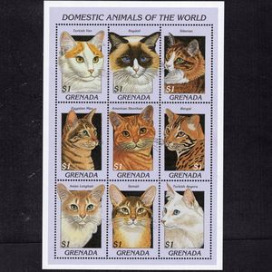 格林纳达1997动物名猫宠物猫土耳其梵猫布偶猫邮票Ms全新