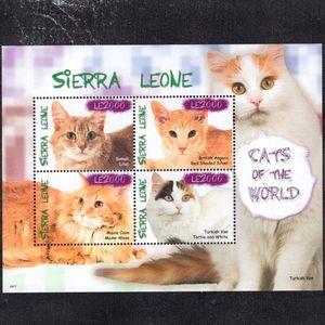 塞拉利昂2009动物名猫宠物猫缅因猫土耳其梵猫邮票MS全新