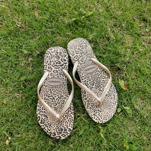 24新款巴西哈瓦那havaianas夏季沙滩防滑软底豹纹女士人字拖鞋